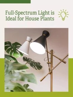 Adjustable 3-Arm Grow Lamp -Gardeners Sale Shop 3 Arm 1