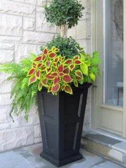 Fairfield Self-Watering Tall Patio Planters, 28” -Gardeners Sale Shop 39 342 103V tif
