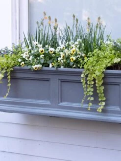 Fairfield Self-Watering Window Box, 3’ -Gardeners Sale Shop 39 344 9360 tif