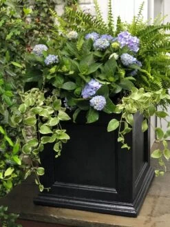 Fairfield Self-Watering Square Planter, 20” X 20” -Gardeners Sale Shop 39 618 205V tif