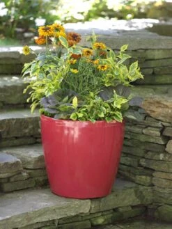 Viva Round Self-Watering Rolling Planter, 17.25” Diameter -Gardeners Sale Shop 39326 046 tif