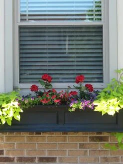 Fairfield Self-Watering Window Box, 4’ -Gardeners Sale Shop 39345 07V tif