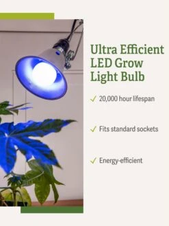 Miracle LED® Grow Light Bulb, Blue -Gardeners Sale Shop 3 4 crop Miracle Bulb Blue 1