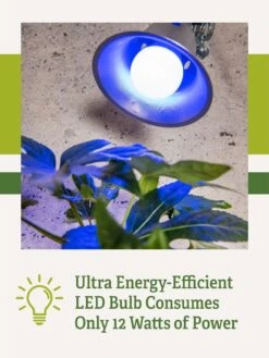 Miracle LED® Grow Light Bulb, Blue -Gardeners Sale Shop 3 4 crop Miracle Bulb Blue 2