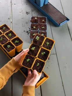 Gardener's Best® XL Seed Starting Kit -Gardeners Sale Shop 40 135 6186