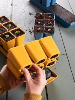 Gardener's Best® XL Seed Starting Kit -Gardeners Sale Shop 40 135 6188