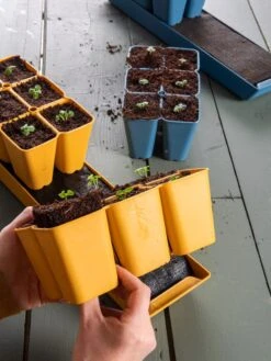 Coco Coir Seed Starting Mix -Gardeners Sale Shop 40 135 6192