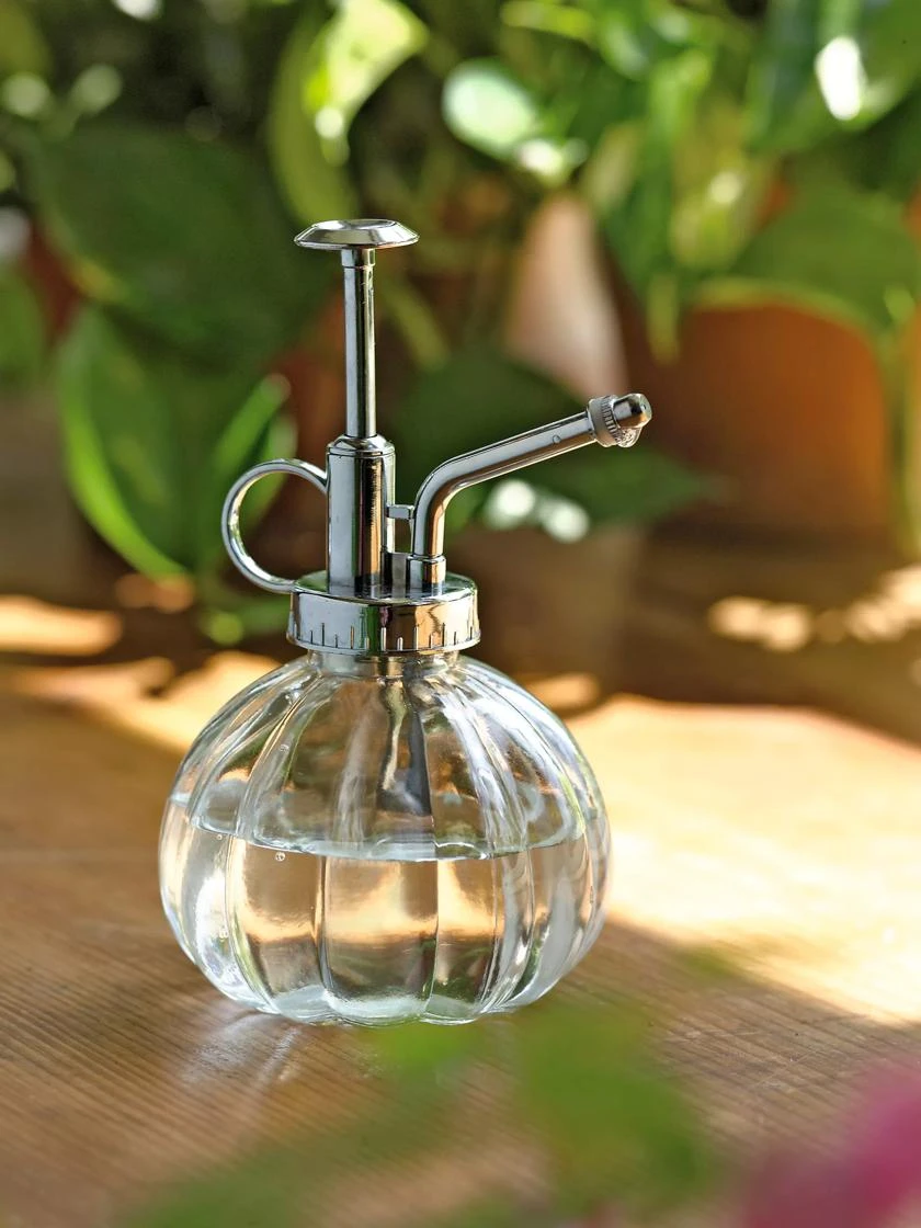 Houseplant Sprayer 1 Houseplant Sprayer
