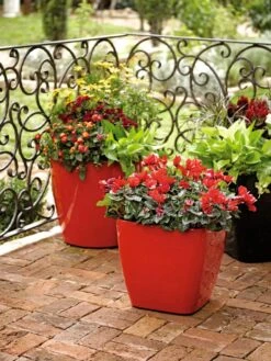 Viva Square Self-Watering Rolling Planter, 14" Diameter -Gardeners Sale Shop 8586699 982 tif