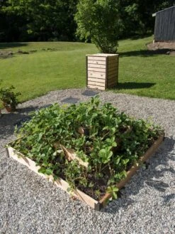 3-Tier Strawberry Bed -Gardeners Sale Shop 8586752 2341 tif