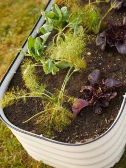 Birdies™ Modular Metal Raised Bed -Gardeners Sale Shop 8586930 6019 tif