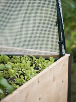 Protection Frame & Covers, 2' X 8' -Gardeners Sale Shop 8587631 265 tif 2