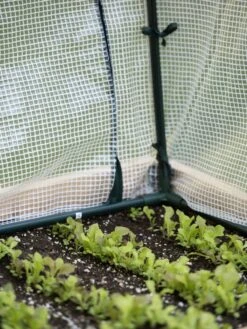 Protection Frame & Covers, 2' X 8' -Gardeners Sale Shop 8587631 271 tif 1