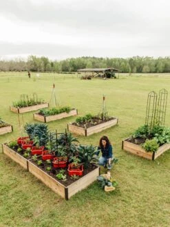 Deep Root Raised Beds, 14" Deep 4' Wide 10 Deep Root Raised Beds, 14" Deep 4' Wide -Gardeners Sale Shop 8587813 505 tif