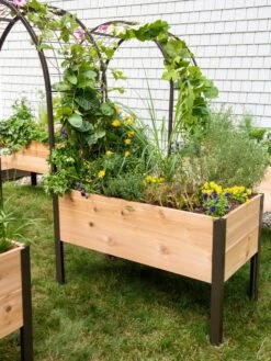 2’ X 4’ Arch Trellis For Planter Boxes -Gardeners Sale Shop 8587823 0490