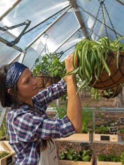 Canopia® By Palram Balance Greenhouse, 8' X 12' -Gardeners Sale Shop 8588023 07V jpg