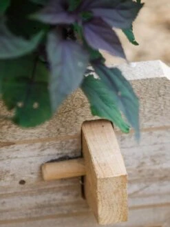 Farmstead Cedar Raised Garden Beds, 2' -Gardeners Sale Shop 8588144 12V tif