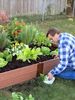 Composite Raised Bed With 1" Boards, 11" -Gardeners Sale Shop 8588274 02V tif