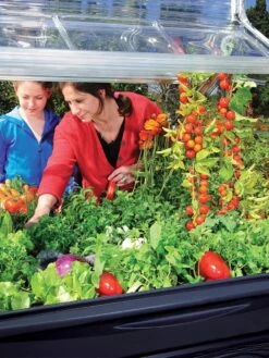 Canopia® By Palram Plant Inn™ Raised Bed Greenhouse, 4' X 4' -Gardeners Sale Shop 8588308 03V tif