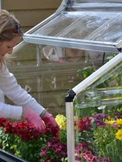 Canopia® By Palram Plant Inn™ Raised Bed Greenhouse, 4' X 4' -Gardeners Sale Shop 8588308 04V tif