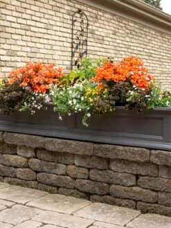 Fairfield Self-Watering Window Box, 5’ -Gardeners Sale Shop 8588938 105V tif
