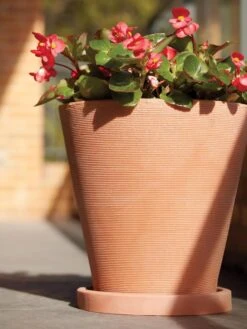 Universal Round Planter Saucers -Gardeners Sale Shop 8589526 001V tif