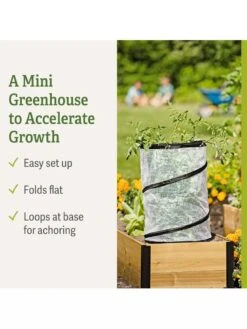 Pop-Up Tomato Accelerator -Gardeners Sale Shop 8589749 feature 2