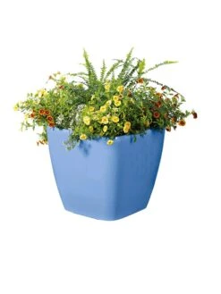 Viva Square Self-Watering Rolling Planter, 14" Diameter -Gardeners Sale Shop 8589777BL 6080 tif