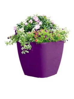 Viva Square Self-Watering Rolling Planter, 17.5" Diameter -Gardeners Sale Shop 8589778PR 6126 tif