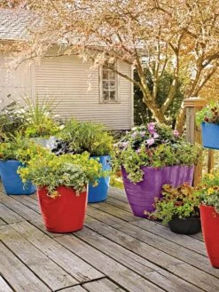 Viva Square Self-Watering Rolling Planter, 17.5" Diameter -Gardeners Sale Shop 8589778 09000 tif
