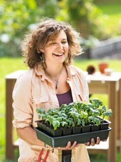 Growease Seed Starter Kit -Gardeners Sale Shop 8589987 0446 tif