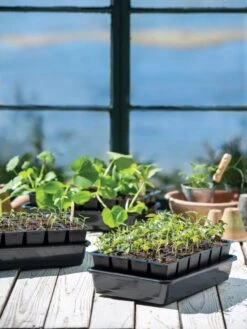 Growease Seed Starter Kit -Gardeners Sale Shop 8589987 7871 tif