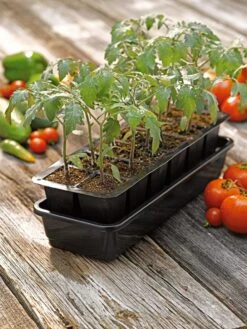 Growease Seed Starter Kit -Gardeners Sale Shop 8589988 1056 tif