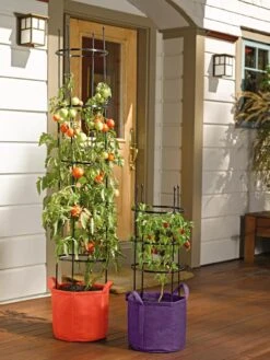 Gardener's Best® Tomato Grow Bag Set -Gardeners Sale Shop 8590013 170 tif