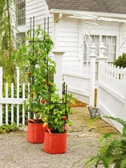 Gardener's Best® Tomato Grow Bag Set -Gardeners Sale Shop 8590013 5090 tif