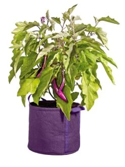 Gardener's Best® Universal Grow Bag 10 Gardener's Best® Universal Grow Bag -Gardeners Sale Shop 8590024PR 214 tif