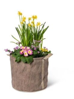 Gardener's Best® Universal Grow Bag 13 Gardener's Best® Universal Grow Bag -Gardeners Sale Shop 8590024 7307 tif