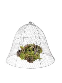 Chicken Wire Cloche 18 Chicken Wire Cloche -Gardeners Sale Shop 8590210 675 tif
