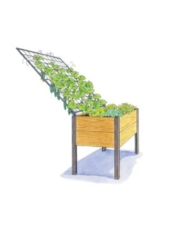 Elevated Planter Box And Space-Maker Pivoting Trellis Set, 2' X 4' -Gardeners Sale Shop 8590247 SMTrellis 4ft tif
