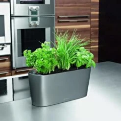 Lechuza® Delta Self-Watering Windowsill Planters -Gardeners Sale Shop 8590298 02V tif