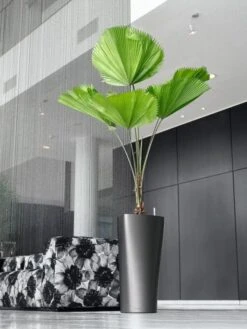 Lechuza® Delta Premium Self-Watering Planters -Gardeners Sale Shop 8590299 02V tif