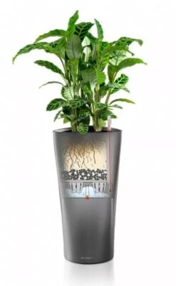 Lechuza® Delta Premium Self-Watering Planters -Gardeners Sale Shop 8590299 05V tif
