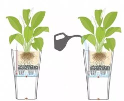 Lechuza® Delta Premium Self-Watering Planters -Gardeners Sale Shop 8590299 07V tif