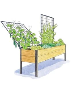 Elevated Planter Box And Space-Maker Pivoting Trellis Set, 2' X 8' -Gardeners Sale Shop 8590367 SMTrellis 8ft tif