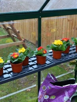 Canopia® By Palram Shelf Kit For Greenhouses, Set Of 2 Shelves -Gardeners Sale Shop 8591033 09V jpg