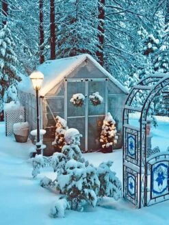 Canopia® By Palram Harmony™ Snap & Grow Greenhouse, 8' -Gardeners Sale Shop 8591048 06V jpg