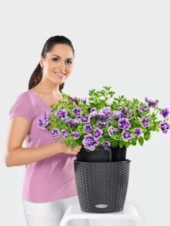 Lechuza® Nido Cottage Wicker Hanging Planter -Gardeners Sale Shop 8591154GT 006V tif