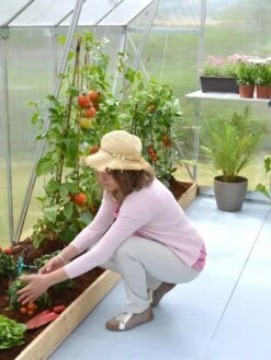 Canopia® By Palram Essence™ Greenhouse, 8' X 12' -Gardeners Sale Shop 8591356 04V tif