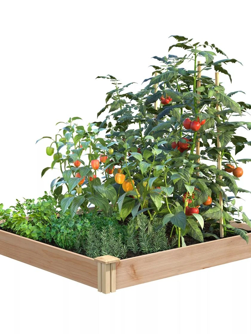 Cedar Raised Garden Bed, 4' X 4' X 6" 1 Cedar Raised Garden Bed, 4' X 4' X 6"