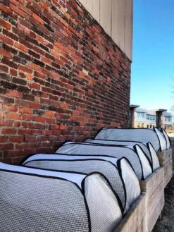 Row Shelter Accelerator -Gardeners Sale Shop 8591990 01IN tif